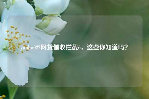 yunhu022网贷催收拦截6，这些你知道吗？