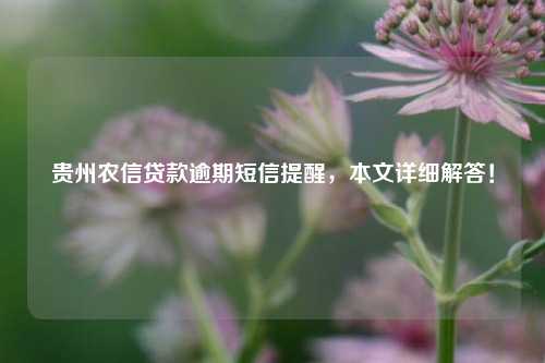 贵州农信贷款逾期短信提醒，本文详细解答！