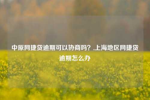 中原网捷贷逾期可以协商吗？,上海地区网捷贷逾期怎么办