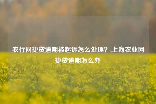 农行网捷贷逾期被起诉怎么处理？,上海农业网捷贷逾期怎么办